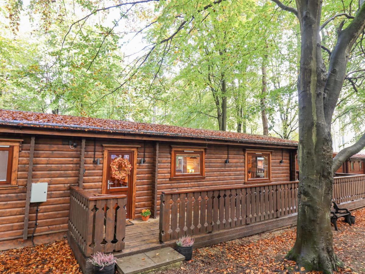 Leafy Hollow Lodge Louth  Ngoại thất bức ảnh